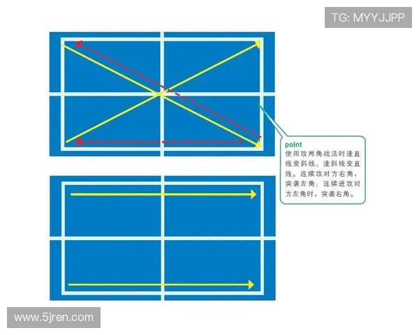 深入分析杭州乒乓球队反击战术的优势与应用策略