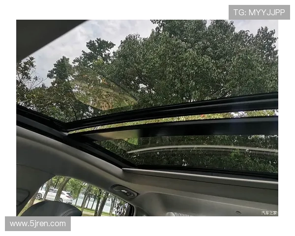 武汉飞盘队的意识探讨与发展：从团队协作到个人成长的全景分析