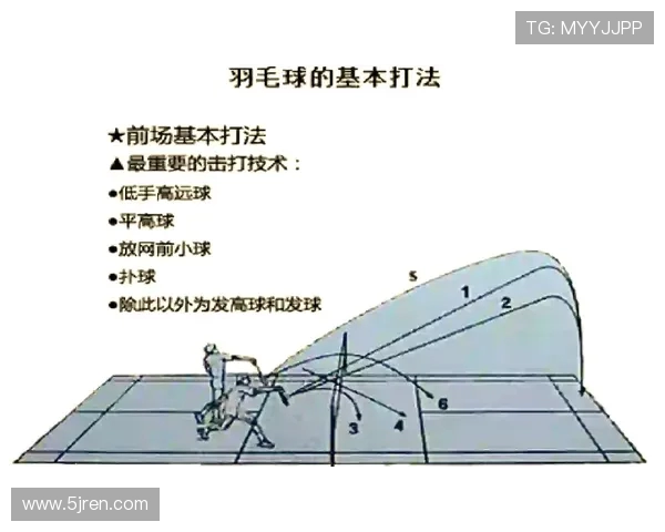 上海羽毛球队战术解析与比赛策略探讨之路